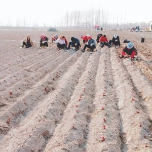 發(fā)貨現(xiàn)場(chǎng)