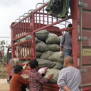 發(fā)貨現(xiàn)場(chǎng)